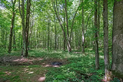 N8381 Birch Hill Road, Phillips, WI 54555 - Photo 58