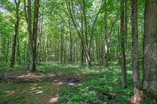 N8381 Birch Hill Rd, Phillips, WI 54555 - Photo 58