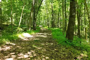 N8381 Birch Hill Rd, Phillips, WI 54555 - Photo 46