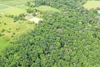 9.85 Acres Stevenson Drive, Poynette, WI 53955 - Photo 4