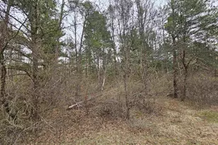 1150 Gale Ct, Wisconsin Dells, WI 53965 - Photo 42