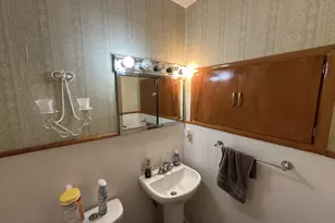 384 Willow St, Arena, WI 53503 - Photo 22