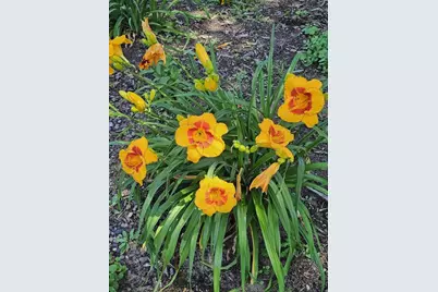 W6403 23rd Street, Necedah, WI 54646 - Photo 84