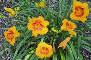 W6403 23rd St, Necedah, WI 54646 - Photo 84