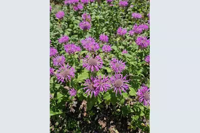 W6403 23rd Street, Necedah, WI 54646 - Photo 24