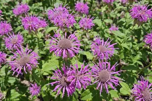 W6403 23rd St, Necedah, WI 54646 - Photo 24