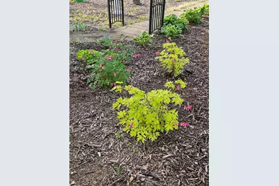 W6403 23rd Street, Necedah, WI 54646 - Photo 22