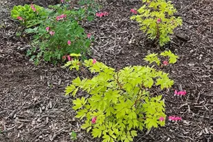 W6403 23rd St, Necedah, WI 54646 - Photo 22