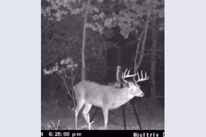 W6403 23rd Street, Necedah, WI 54646 - Photo 10