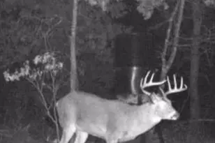 W6403 23rd St, Necedah, WI 54646 - Photo 10