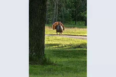 W6403 23rd Street, Necedah, WI 54646 - Photo 12