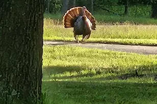 W6403 23rd St, Necedah, WI 54646 - Photo 12