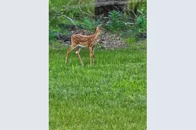 W6403 23rd Street, Necedah, WI 54646 - Photo 82