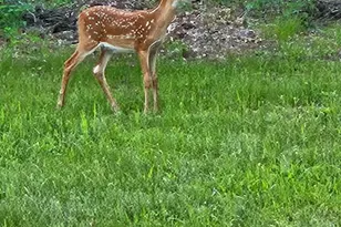 W6403 23rd St, Necedah, WI 54646 - Photo 82