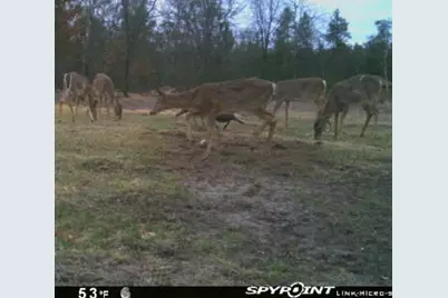 W6403 23rd Street, Necedah, WI 54646 - Photo 78