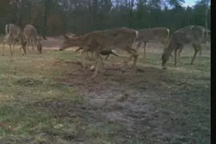 W6403 23rd St, Necedah, WI 54646 - Photo 78