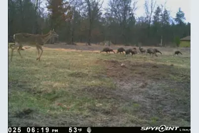 W6403 23rd Street, Necedah, WI 54646 - Photo 80