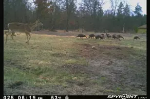 W6403 23rd St, Necedah, WI 54646 - Photo 80