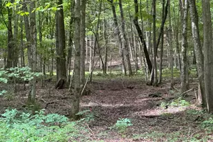 17497 E Gross Valley Ln, Hillsboro, WI 54634 - Photo 4