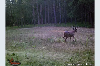 W6191 Lueck Lane, Princeton, WI 54968 - Photo 60