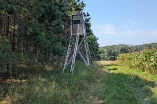 W6191 Lueck Ln, Princeton, WI 54968 - Photo 54