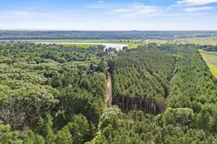 W6191 Lueck Ln, Princeton, WI 54968 - Photo 86