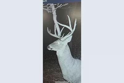 W6191 Lueck Lane, Princeton, WI 54968 - Photo 62