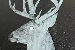 W6191 Lueck Ln, Princeton, WI 54968 - Photo 62