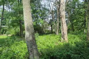 N3571 E Tomahawk Trail, Montello, WI 53949 - Photo 18