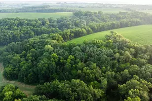 8991 McKenzie Ln, Hollandale, WI 53516 - Photo 74