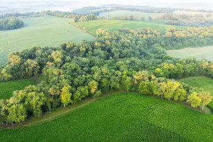 8991 McKenzie Ln, Hollandale, WI 53516 - Photo 76