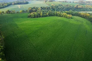 8991 McKenzie Ln, Hollandale, WI 53516 - Photo 8