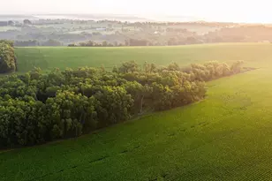 8991 McKenzie Ln, Hollandale, WI 53516 - Photo 78