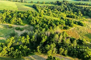 8991 McKenzie Ln, Hollandale, WI 53516 - Photo 16