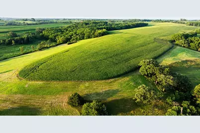 8991 McKenzie Lane, Hollandale, WI 53516 - Photo 14