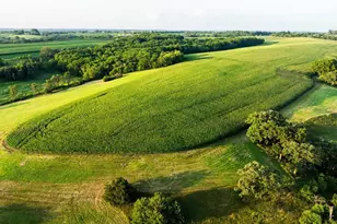 8991 McKenzie Ln, Hollandale, WI 53516 - Photo 14