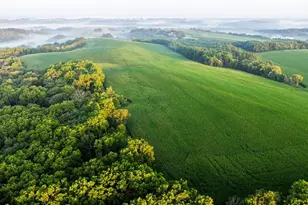 8991 McKenzie Ln, Hollandale, WI 53516 - Photo 12
