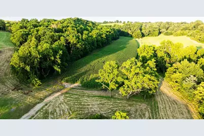 8991 McKenzie Lane, Hollandale, WI 53516 - Photo 86