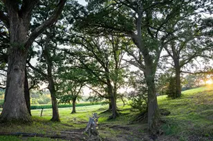 8991 McKenzie Ln, Hollandale, WI 53516 - Photo 50