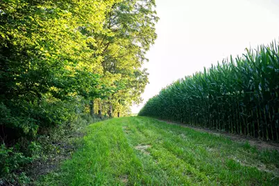 8991 McKenzie Lane, Hollandale, WI 53516 - Photo 64