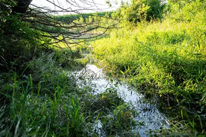 8991 McKenzie Lane, Hollandale, WI 53516 - Photo 52