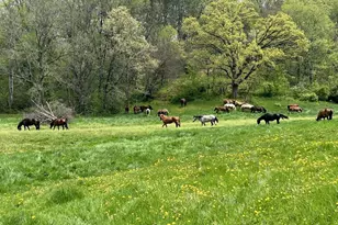 8991 McKenzie Ln, Hollandale, WI 53516 - Photo 60