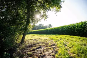 8991 McKenzie Ln, Hollandale, WI 53516 - Photo 66