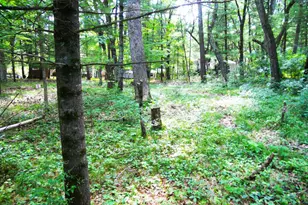 W4643 S Pearl Lake Rd, Redgranite, WI 54970 - Photo 8