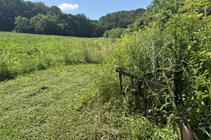 W8785 Hwy 82, Elroy, WI 53929 - Photo 4