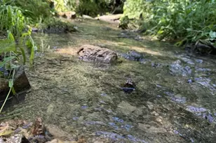 W8785 Hwy 82, Elroy, WI 53929 - Photo 30