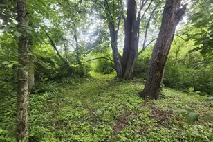 16874 Pond View Ln, Mineral Point, WI 53565 - Photo 66