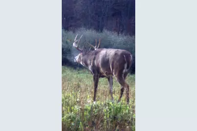 1328 Fish Drive, Wisconsin Dells, WI 53965 - Photo 76