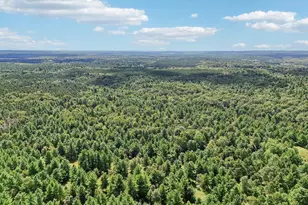 1328 Fish Dr, Wisconsin Dells, WI 53965 - Photo 60