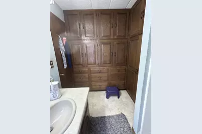 313 W Elizabeth Street, Tomah, WI 54660 - Photo 44